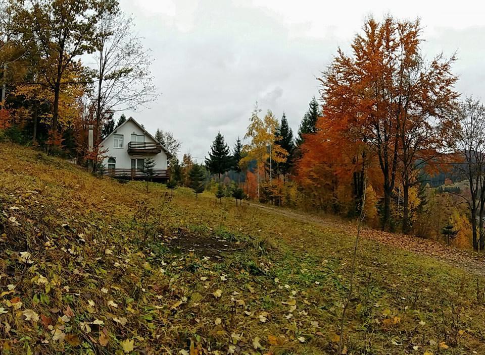 Soaptele Padurii & Casuta Din Padure Sucevita Bagian luar foto